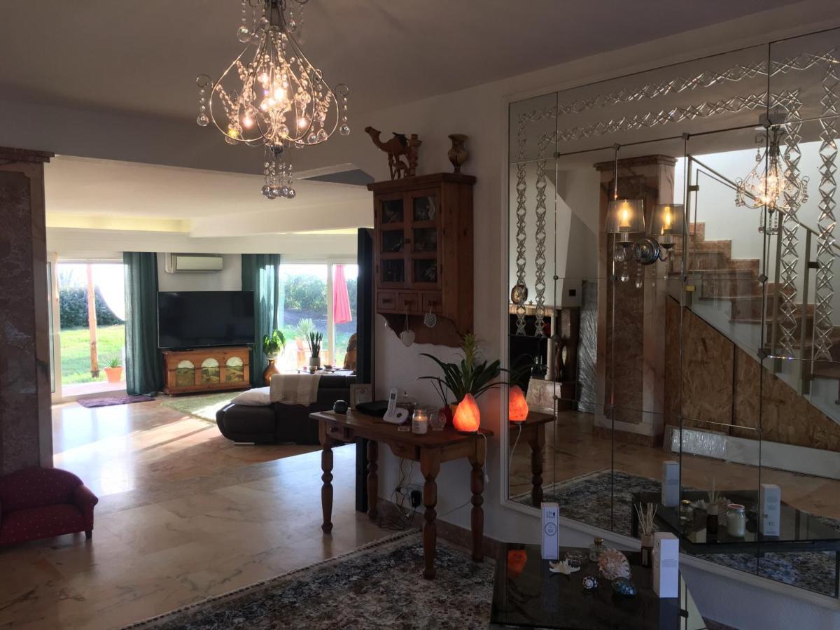 U Stagnu Locations Chambres Corse Borgo  Eksteriør bilde